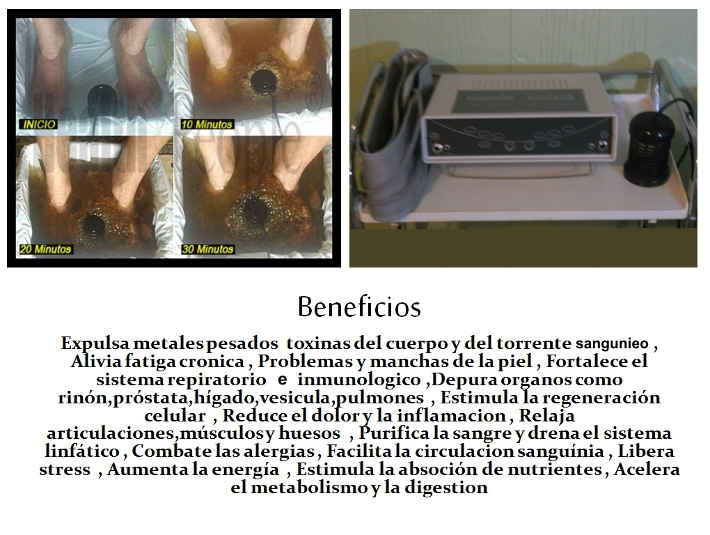 biomagnetismo1 (89K)